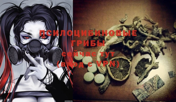 ешки Алексин