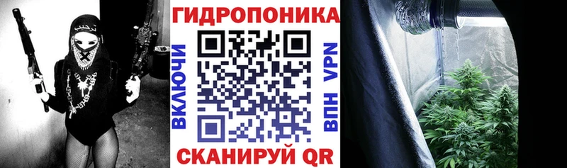 Бошки Шишки семена  Пудож 